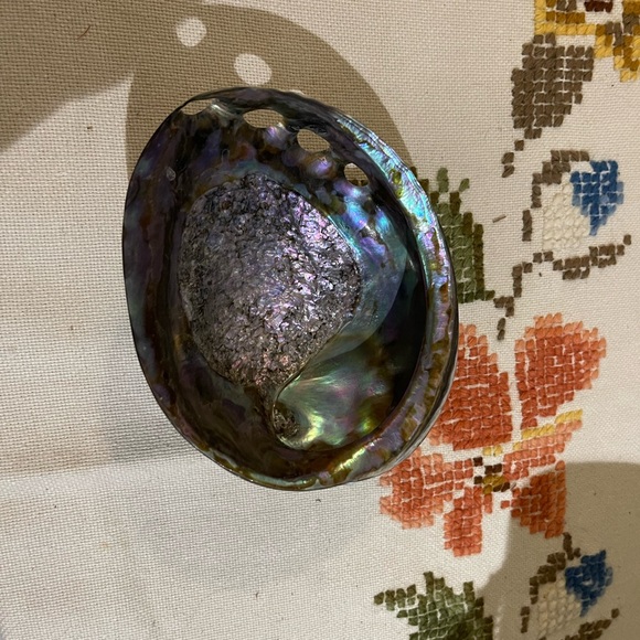 Abalone Shell - Picture 1 of 2